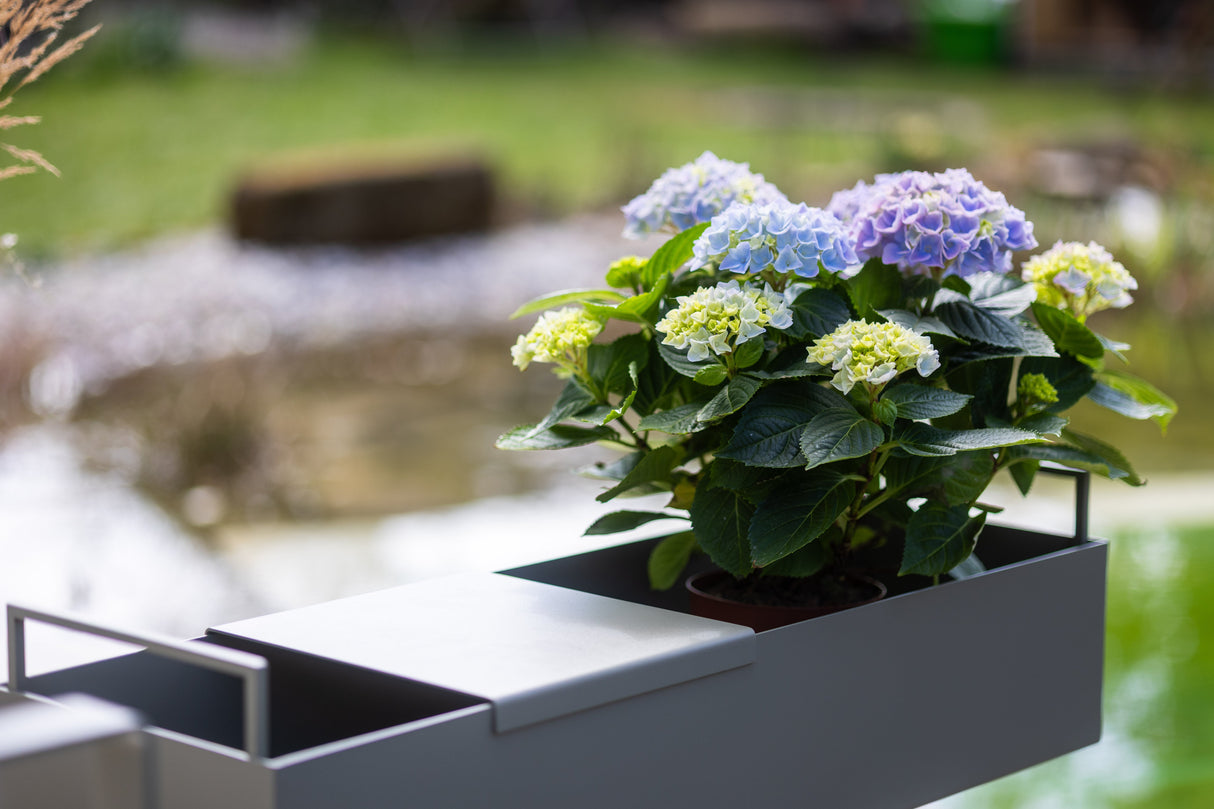 TABLA - Aufsatzplatte als elegante Abdeckung auf Pflanzgefäß mit blühender Hortensie, ideal für moderne Gartengestaltung.