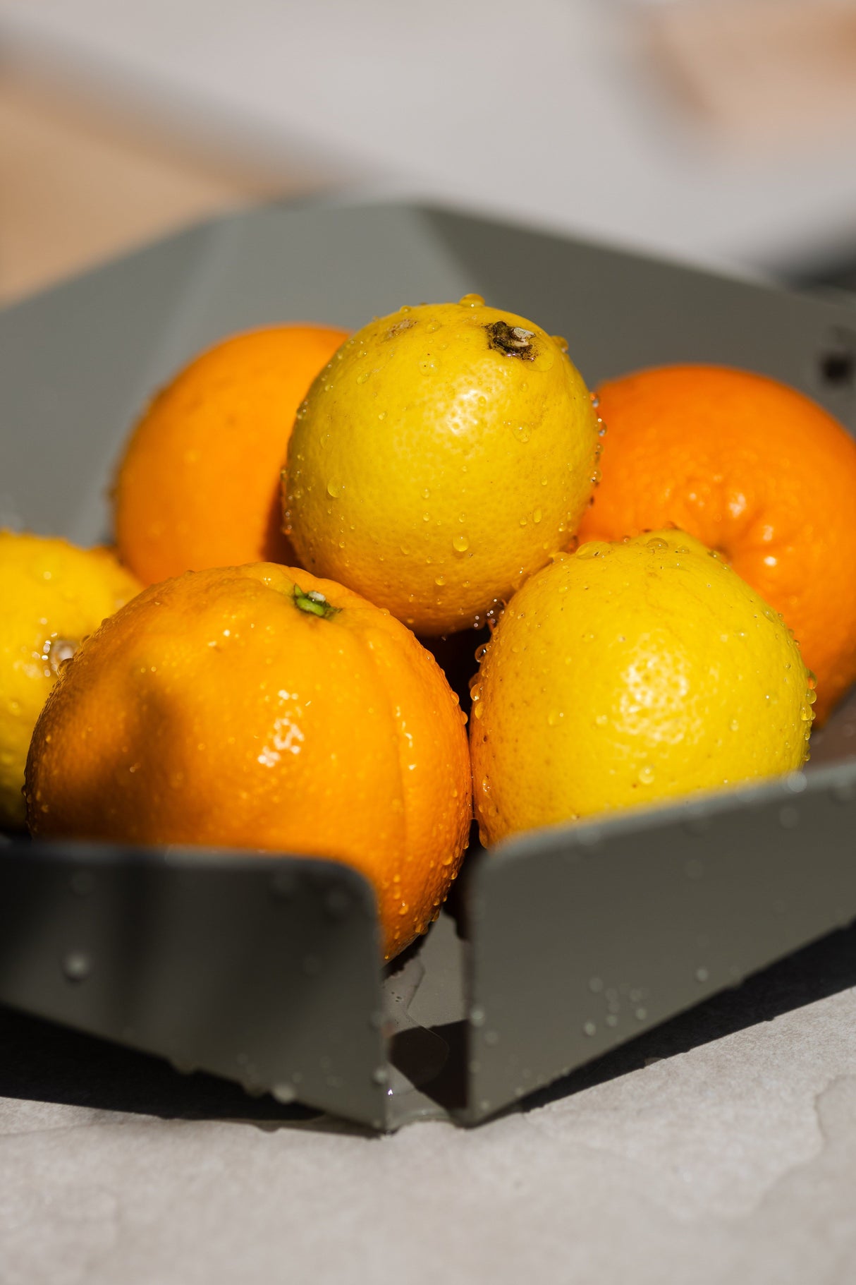 PRISMA - Obstschale in Olivgrün mit frischen Orangen und Zitronen, ideal für dekorative Obstpräsentation in der Küche.