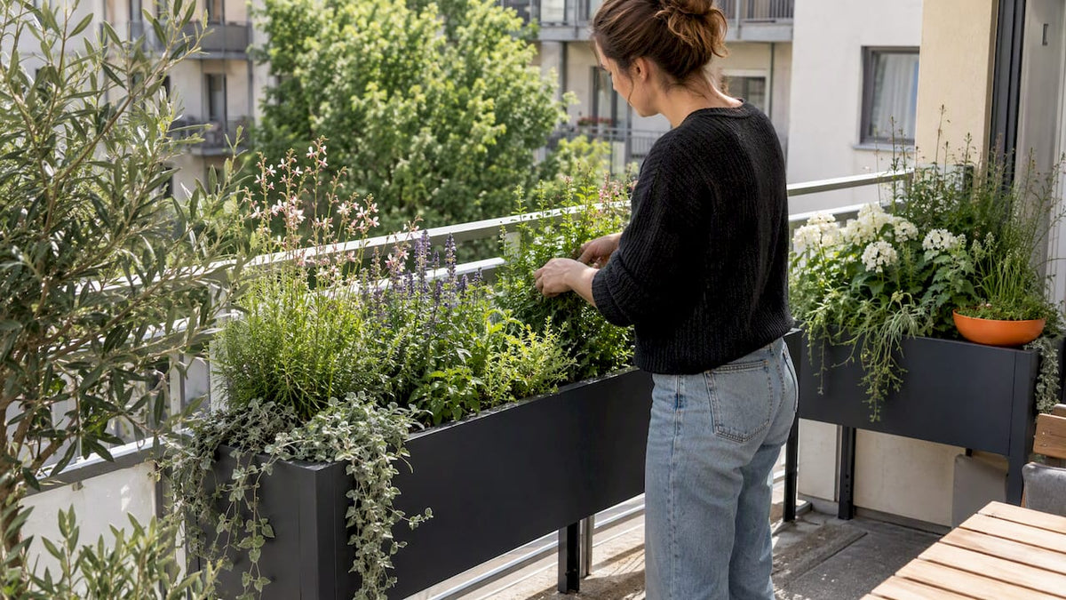 Mit Pflanzen gefüllte Metalltröge auf einem sonnigen Balkon